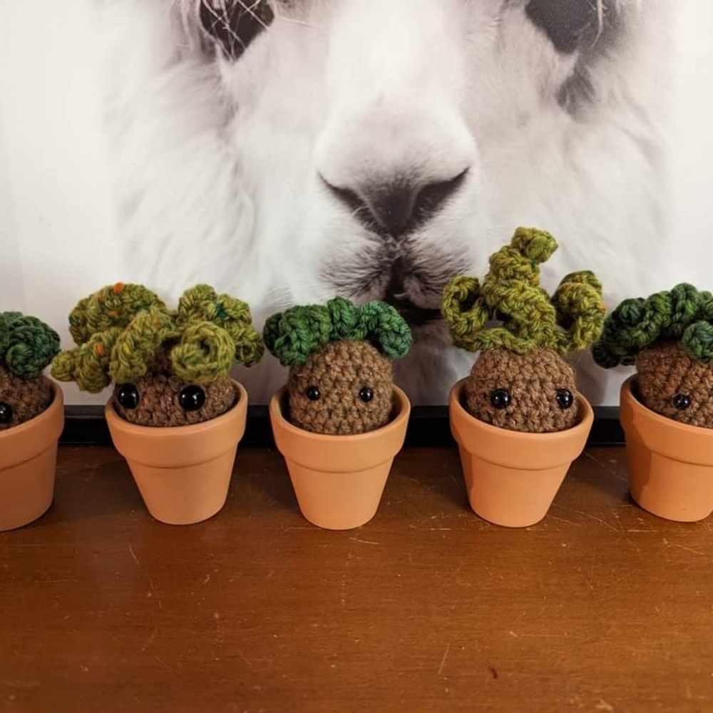 Crocheted Succulent Decor in Terracotta Pots (2)